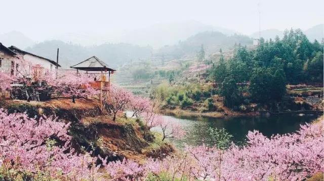 中國的桃花源和西方的烏托邦，是全人類的精神遺產(chǎn)